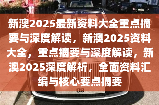 新澳2025全年正版资料更新，全面释义与解释