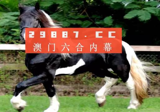 澳门和香港一肖一码一中一肖l-精选解析解释落实