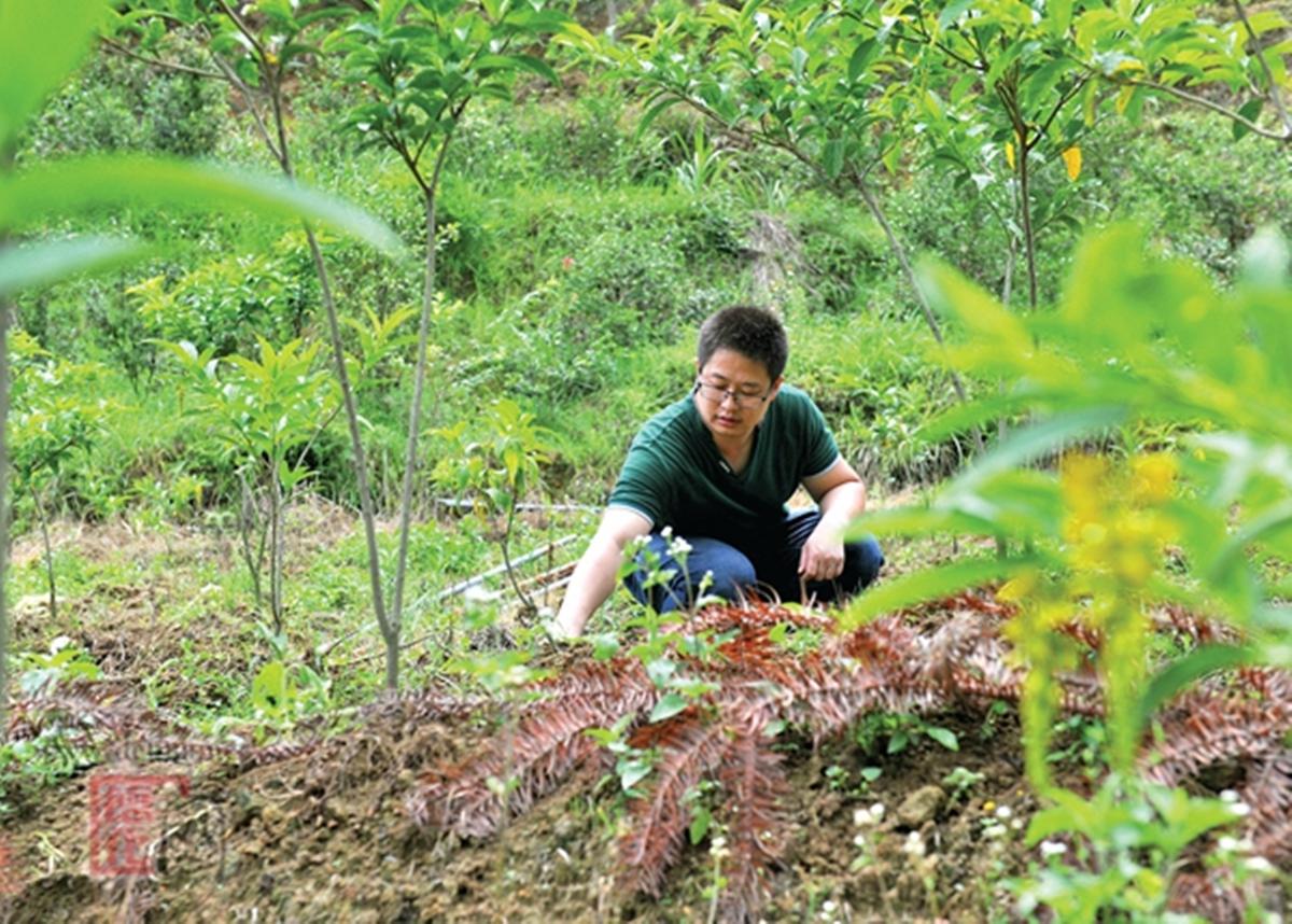 德化招聘人才网站官网德化招聘人才网站官网——连接企业与人才的桥梁